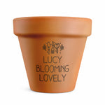 Personalised Gardening Terracotta Plant Pot
