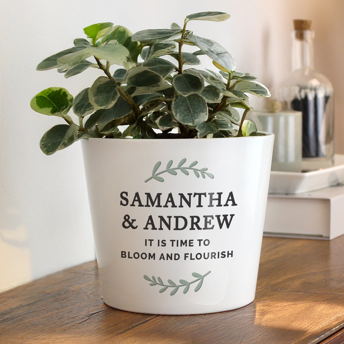 Plant Pots