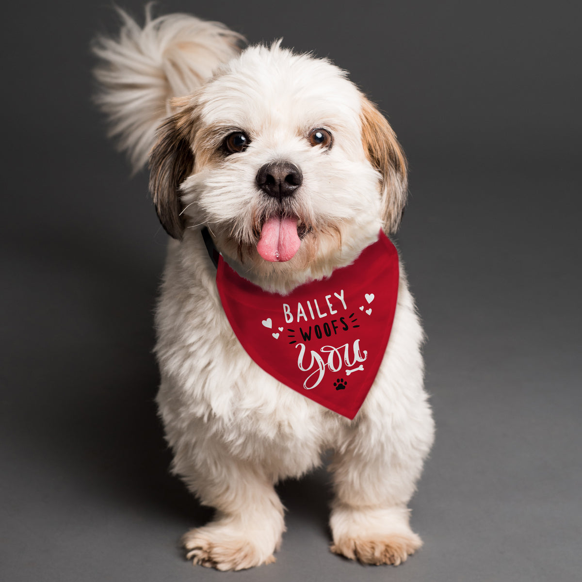 Pet gifts